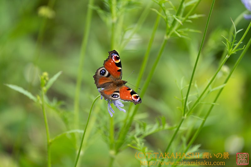 ../Images/7R240815 (176).jpg